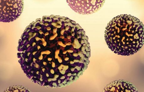 הרכב מיקרוביום המעי