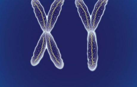 אבחון מוקדם של לויקודיסטרופיה מטכרומטית